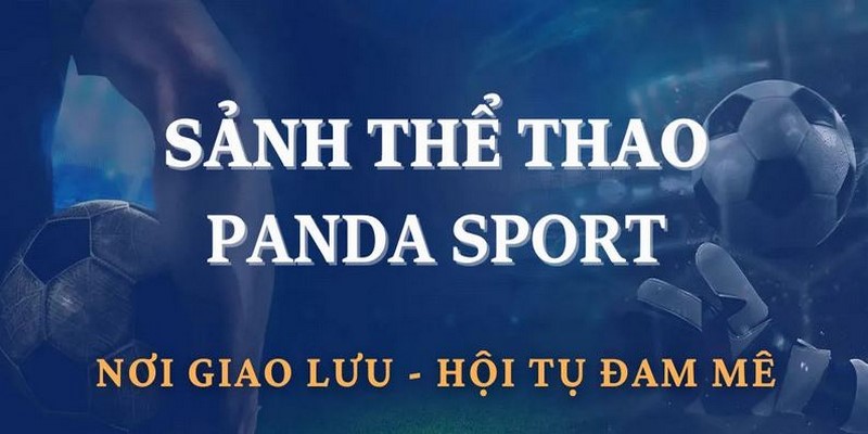 PANDA là sảnh cược thể thao Kubet77 uy tín với kèo chất lượng