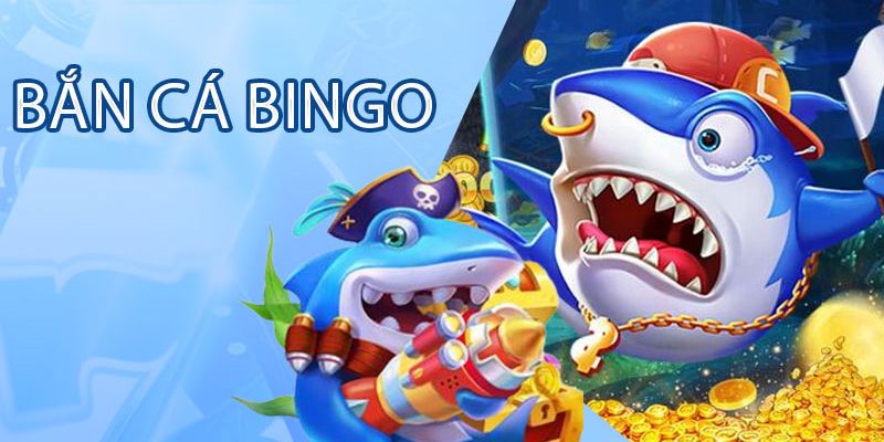 Thông tin sơ lược về game bắn cá bingo tại Kubet77