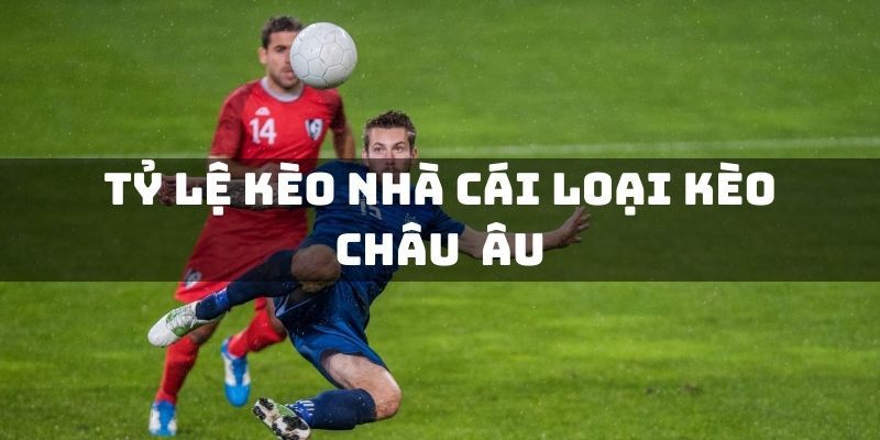 Giới thiệu bao quát về tỷ lệ kèo bóng đá châu Âu